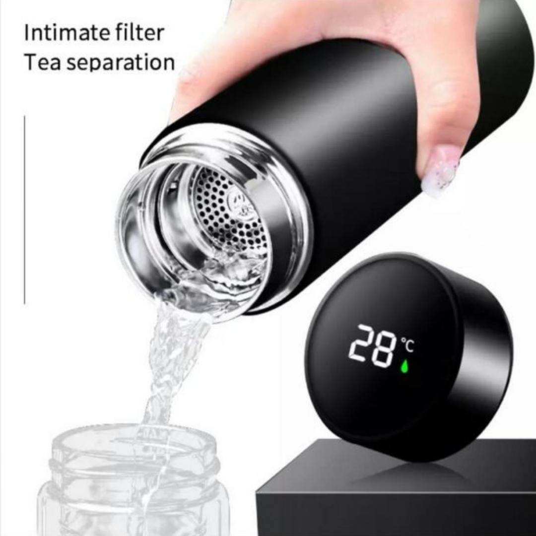 Water Bottle With Temperature Display