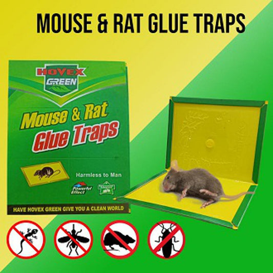 Pack Of 3 Sticky Mouse Glue Traps