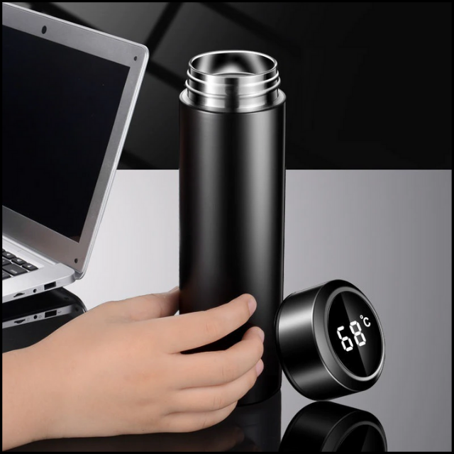 Water Bottle With Temperature Display